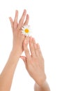 Woman french manicured hands daisy flower i