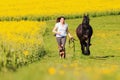 Woman with a Friesian horse on a field Royalty Free Stock Photo