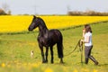 Woman with a Friesian horse on a field Royalty Free Stock Photo