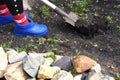 Gardening with a shovel. Retired plants in the spring Royalty Free Stock Photo