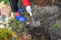 Gardening with a shovel. Retired plants in the spring Royalty Free Stock Photo