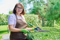 Woman gardener in apron trims decorative bushes with garden scissors