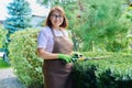 Woman gardener in apron trims decorative bushes with garden scissors