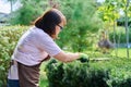 Woman gardener in apron trims decorative bushes with garden scissors