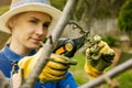 Woman cut cherry tree branch with pruning shears. spring gardening Royalty Free Stock Photo