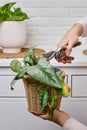 Woman gardener cuts wilted plants in a pot with garden scissors, hom Royalty Free Stock Photo
