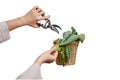 Woman gardener cuts wilted plants in a pot with garden scissors, isola Royalty Free Stock Photo