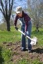 Woman gardener digging with shovel a ground bed in her spring garden Royalty Free Stock Photo