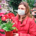 Woman gardener in face mask buys gerbera houseplants for her flower garden. Buying in store potted plants for a home hobby during Royalty Free Stock Photo