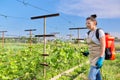 Woman gardener farmer with backpack pressure sprayer sprays vineyard in spring season