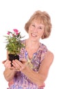 Woman gardener Royalty Free Stock Photo