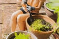 Woman with gardener with gloves sitting near plant pot holding garden spade with soil.