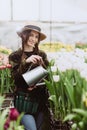 A woman gardener in a hat and gloves waters a flower bed of tulips using a watering can. Gardening hobby concept. Soft selective Royalty Free Stock Photo