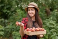 Woman gardener holding crate of peaches