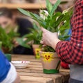 Woman gardener holding a plant root