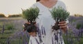 Woman gardener holding two saplings of lavandin in her hands