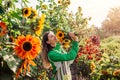 Woman gardener holds bouquet of yellow sunflowers in summer garden smelling cut flowers harvest Royalty Free Stock Photo