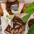 A woman gardener holds a Samsung S21 phone in her hands for online learning about plants. Blogger takes video and photo while