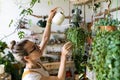 Woman gardener watering potted houseplant in green house, using white watering can metal. Home gardening, love of plants Royalty Free Stock Photo