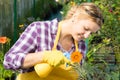 Woman gardener takes care of the flower in a pot