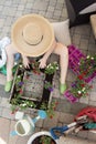 Woman gardener transplanting nursery seedlings