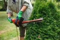 Woman gardener trimming overgrown bush by electric hedge clippers