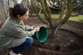 Woman gardener watering a fruit tree from a metal bucket in the garden of her country house Royalty Free Stock Photo