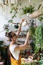 Woman gardener watering potted houseplant in green house, using white watering can metal. Home gardening, love of plants Royalty Free Stock Photo