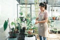 Young woman plant owner shop watering plants in a plant shop. Royalty Free Stock Photo