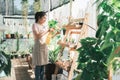 Young woman plant owner shop watering plants in a plant shop. Royalty Free Stock Photo