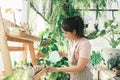 Young woman plant owner shop watering plants in a plant shop. Royalty Free Stock Photo