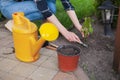 woman gardener working in the garden in the backyard Royalty Free Stock Photo