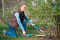 woman gardener working with hedge shear in the yard. Professional garden worker trimming branches. Gardening service and business