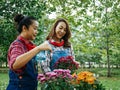 Woman Gardeners family are growing flowers in pots at garden park.