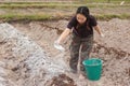 Woman gardeners put lime or calcium hydroxide into the soil to neutralize the acidity of the soil Royalty Free Stock Photo