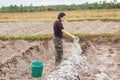 Woman gardeners put lime or calcium hydroxide into the soil to neutralize the acidity of the soil Royalty Free Stock Photo