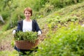 Woman gardening