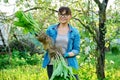 Woman in gardening gloves holding bush of hosta plant with roots for dividing planting Royalty Free Stock Photo