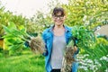 Woman in gardening gloves holding bush of hosta sedum daffodils plant with roots for dividing planting Royalty Free Stock Photo