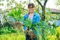 Woman in gardening gloves holding bush of hosta sedum daffodils plant with roots for dividing planting Royalty Free Stock Photo