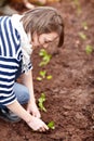 Woman, gardening and plant in backyard soil, dirt or growing vegetables. Person, planting or harvest of plants in ground