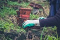 Woman gardening with pots Royalty Free Stock Photo