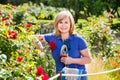 Woman gardening red roses and holding horticultural tools on sun Royalty Free Stock Photo