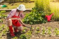 Woman with gardening tool working in garden Royalty Free Stock Photo