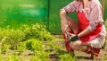 Woman with gardening tool working in garden Royalty Free Stock Photo