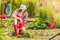 Woman with gardening tool working in garden Royalty Free Stock Photo