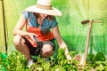 Woman with gardening tool working in greenhouse Royalty Free Stock Photo