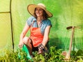 Woman with gardening tool working in greenhouse Royalty Free Stock Photo