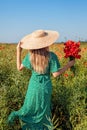 Woman gathered bouquet of poppies flowers walking in summer field. Stylish girl in straw hat admires landscape Royalty Free Stock Photo