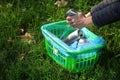 Woman gathering empty tin cans in park Royalty Free Stock Photo